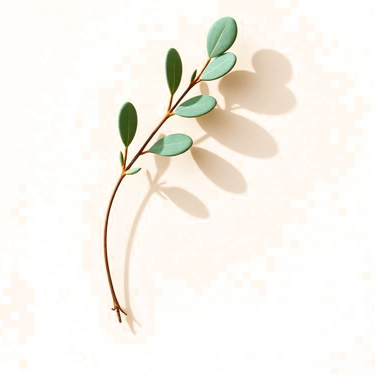 Olive Branch
